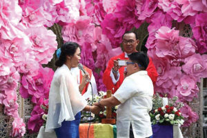 SolGen: Constitution does not allow same-sex marriage