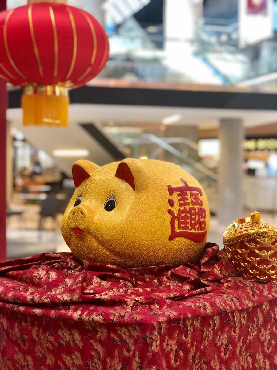 What to expect during the Year of the Earth Pig