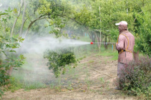 California bans pesticide linked to develop mental problems