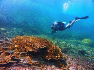 DOT celebrates PHL’s Leading Dive Destination citation